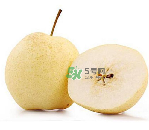 貢梨是雪梨嗎？貢梨和雪梨的區(qū)別