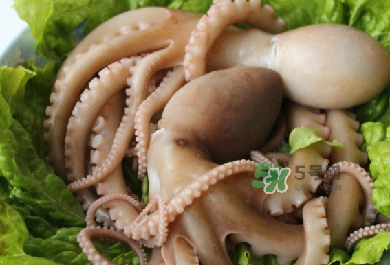 八爪魚的頭能吃嗎？八爪魚的頭里面是什么