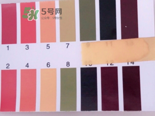 hr綠寶瓶新肌水怎么用？赫蓮娜綠寶瓶新肌水使用方法