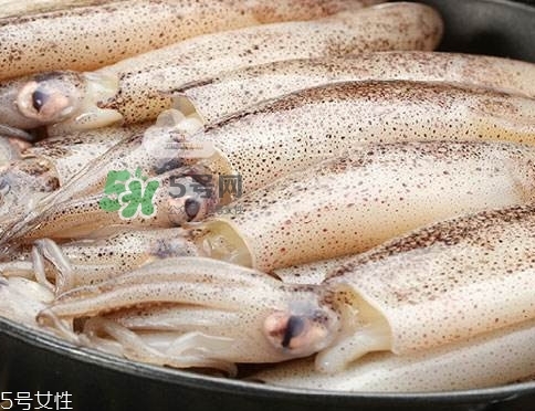 海兔子是什么？海兔子是墨魚嗎