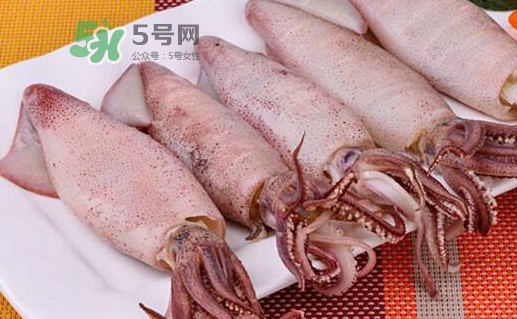 海兔子是小魷魚(yú)嗎？海兔子和魷魚(yú)的區(qū)別
