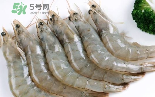 厄瓜多爾蝦是海蝦嗎？厄瓜多爾蝦好吃嗎？
