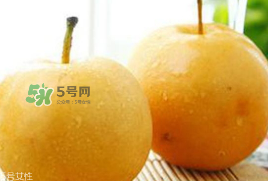 圓黃梨好吃嗎？圓黃梨的功效與作用