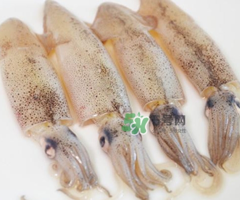 筆管魚是什么魚？筆管魚怎么吃