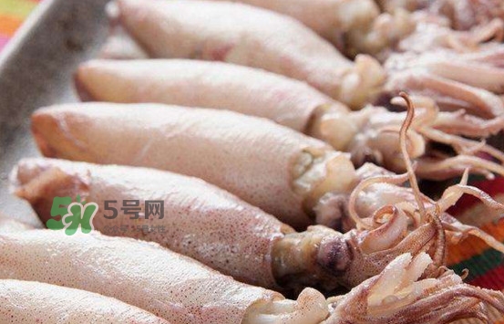 海兔子是小魷魚(yú)嗎？海兔子和魷魚(yú)的區(qū)別