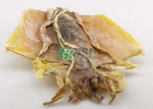 魷魚干是生的還是熟的？魷魚干是海鮮嗎