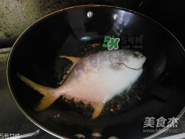 金鯧魚是海魚嗎？金鯧魚的刺多嗎？