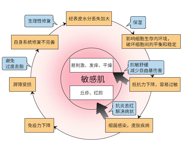 皮膚屏障受損什么意思 什么原因導致皮膚屏障受損