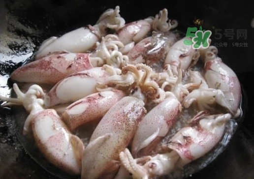 筆管魚是魷魚嗎？筆管魚和魷魚的區(qū)別