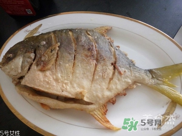 金鯧魚是海魚嗎？金鯧魚的刺多嗎？
