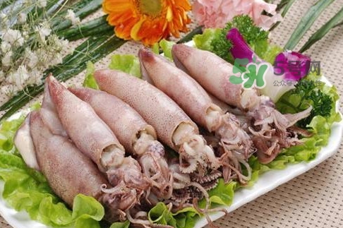 筆管魚是魷魚嗎？筆管魚和魷魚的區(qū)別