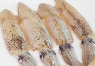 筆管魚是什么魚？筆管魚怎么吃