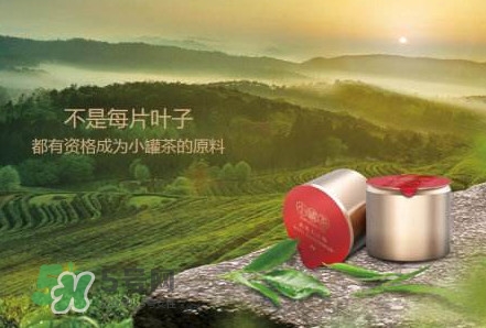 小罐茶怎么樣？小罐茶真的有那么好么
