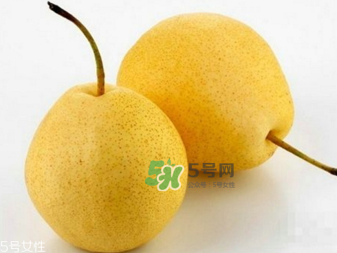 貢梨可以做冰糖雪梨嗎？貢梨可以燉川貝嗎？