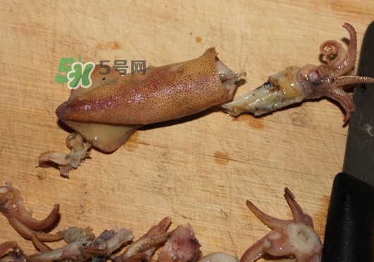 筆管魚怎么清洗？筆管魚怎么處理