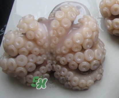 章魚有牙齒嗎？章魚天敵是什么