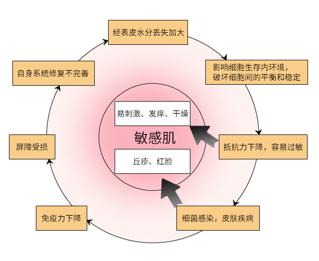 皮膚屏障受損什么意思 什么原因導致皮膚屏障受損