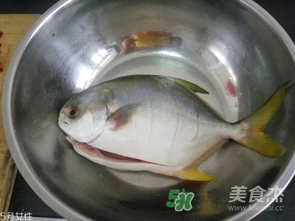 金鯧魚是海魚嗎？金鯧魚的刺多嗎？