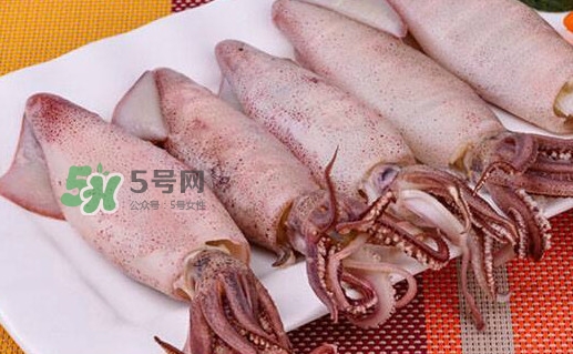 筆管魚怎么做好吃？筆管魚有什么營(yíng)養(yǎng)