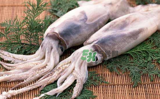 魷魚和雞蛋可以同時食用？魷魚不能和什么一起吃