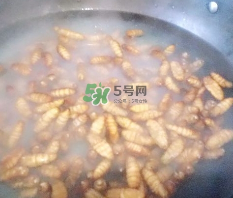 蜂蛹怎么保存？蜂蛹怎么做好吃？