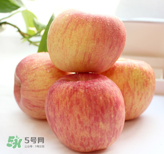 蘋果種類有哪些？蘋果種類哪種最好