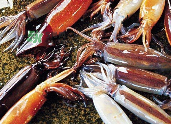 魷魚是堿性食物嗎？魷魚是酸性還是堿性？