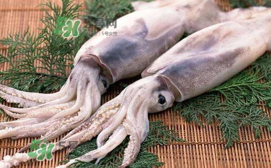 魷魚(yú)是海魚(yú)嗎？魷魚(yú)怎么炒好吃