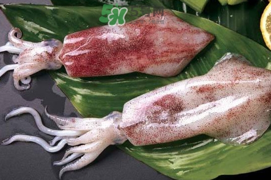 新鮮魷魚怎么處理？魷魚怎么清洗？