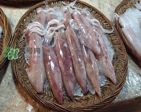 新鮮魷魚(yú)怎么保存？魷魚(yú)可以冷凍嗎
