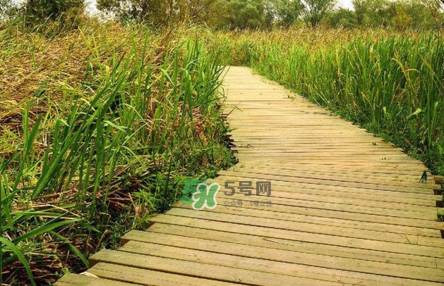 心碎綜合癥是抑郁癥嗎？心碎綜合癥怎么治療