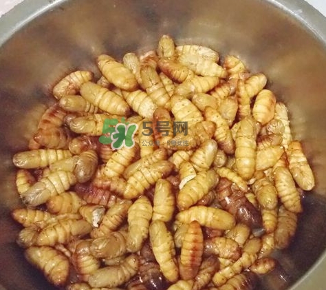 蜂蛹怎么保存？蜂蛹怎么做好吃？
