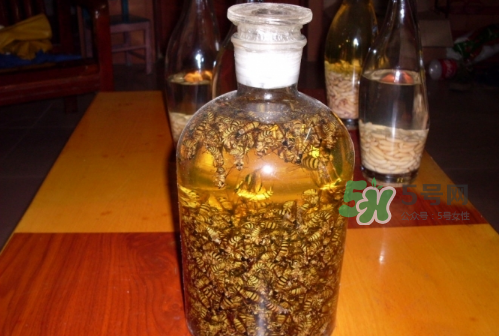 蜂蛹和枸杞能一起泡酒嗎？蜂蛹和枸杞泡酒的功效