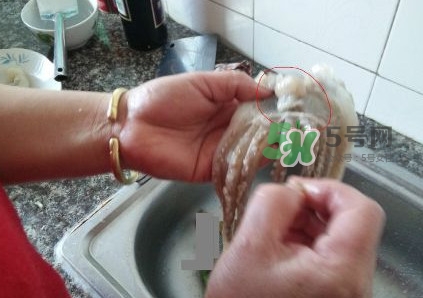 魷魚是堿性食物嗎？魷魚是酸性還是堿性？