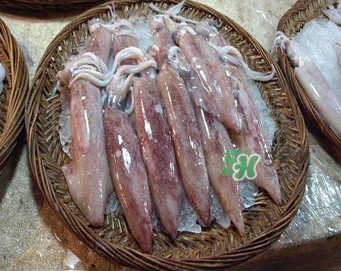 新鮮魷魚怎么處理？魷魚怎么清洗？