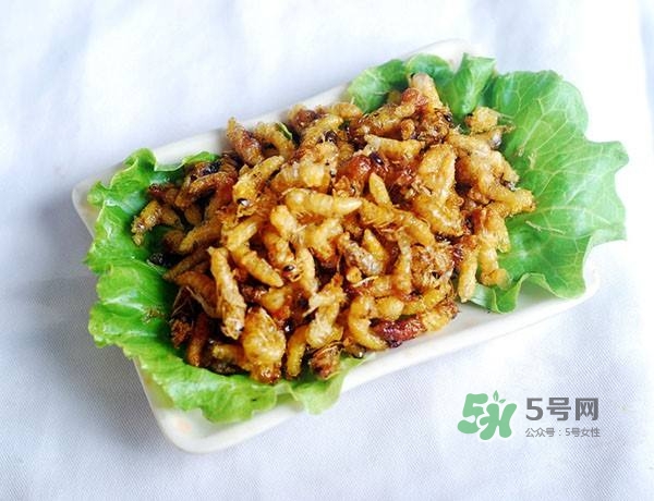 蜂蛹怎么保存？蜂蛹怎么做好吃？