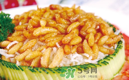 吃蜂蛹過(guò)敏了怎么辦？蜂蛹過(guò)敏的癥狀