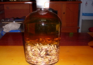 蜂蛹和枸杞能一起泡酒嗎？蜂蛹和枸杞泡酒的功效