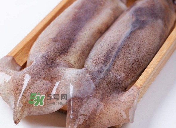 新鮮魷魚(yú)怎么保存？魷魚(yú)可以冷凍嗎