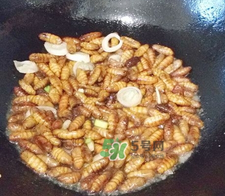 蜂蛹怎么保存？蜂蛹怎么做好吃？
