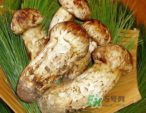 新鮮松茸怎么清洗？新鮮松茸怎么處理