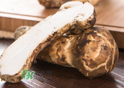 新鮮松茸怎么挑選？干松茸如何挑選