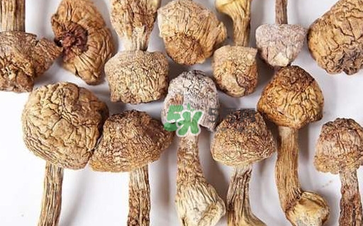 干松茸要泡多久？干松茸用冷水泡還是溫水泡好