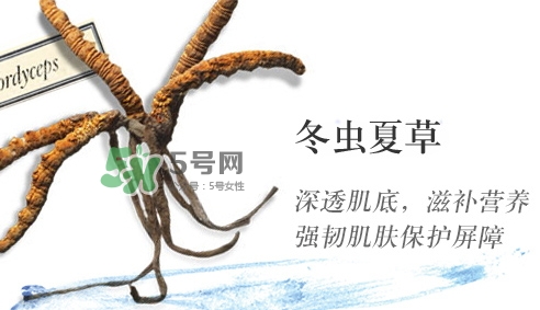 菌菇水是哪個(gè)國(guó)家的？悅木之源菌菇水是日本的嗎