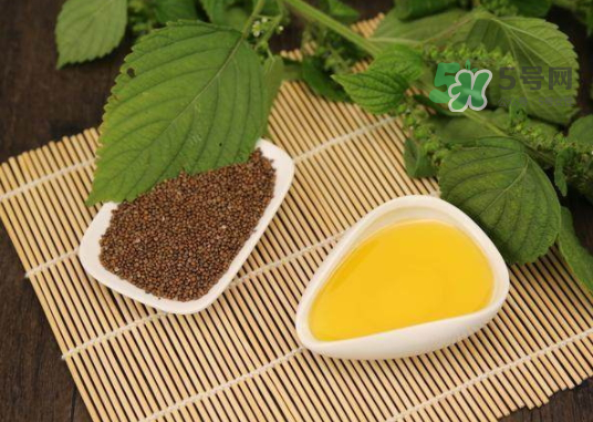 紫蘇水可以天天用嗎？紫蘇水的功效與作用