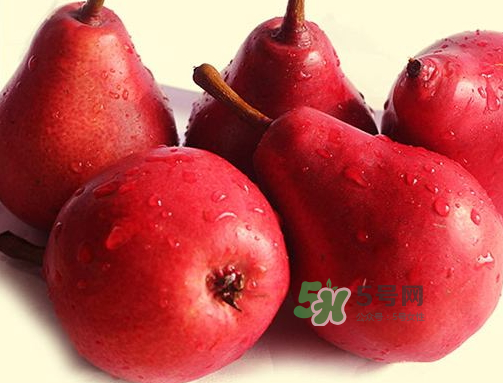 紅啤梨可以放冰箱嗎？紅啤梨怎么保存？