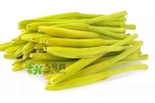 黃花菜是忘憂草嗎？黃花菜是不是金針菜