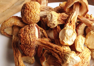 干松茸怎么清洗？干松茸如何辨別真?zhèn)?><p><strong>干松茸怎么清洗？干松茸如何辨別真?zhèn)?/strong></p></a></li> <li><a href=