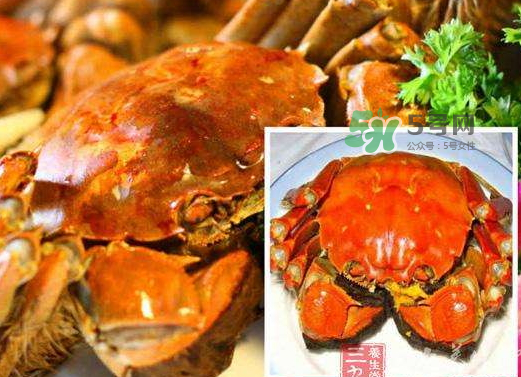 紅印蟹怎么回事？紅印蟹有什么不同？