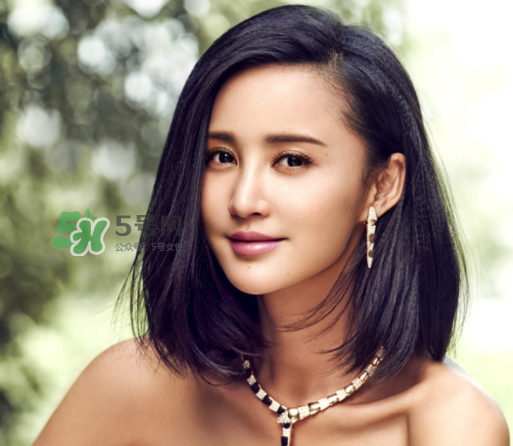 張歆藝前夫楊樹鵬為什么這么回應？張歆藝和前夫楊樹鵬感情糾葛